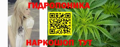 гидра Пушкино