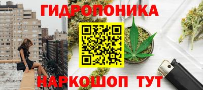 гидра Пушкино