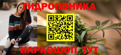 гидра Пушкино