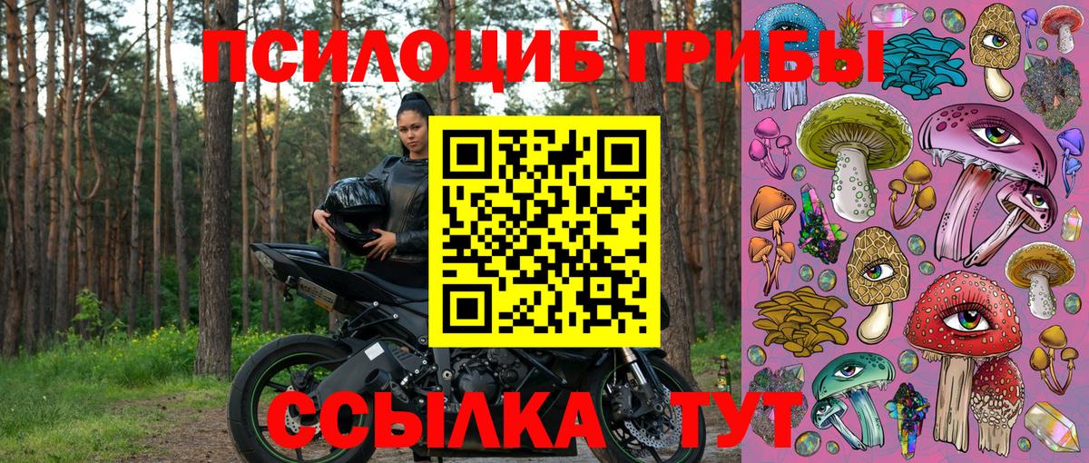 Печора  Псилоцибиновые грибы Magic Shrooms  Вход с VPN 